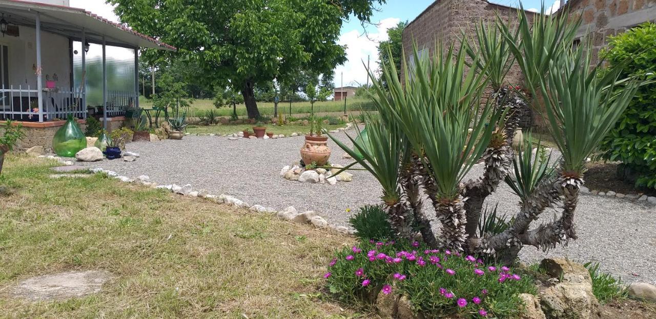 La Cascina Della Grotta Di Tufo Acomodação com café da manhã San Valentino  Exterior foto